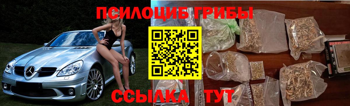 Кольчугино  Галлюциногенные грибы MAGIC MUSHROOMS  сколько стоит  Вход с VPN 