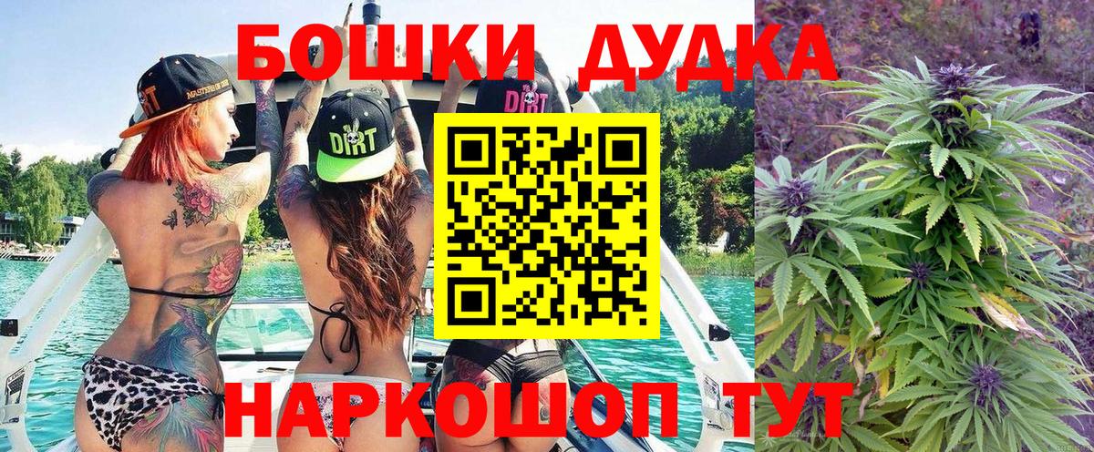Каннабис планчик Кольчугино