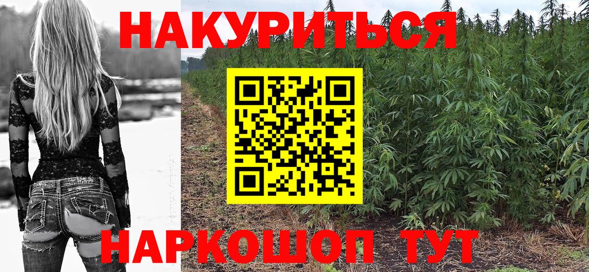 Шишки марихуана ГИДРОПОН  Вход с VPN  Кольчугино  МАРИХУАНА план  Каннабис индика 